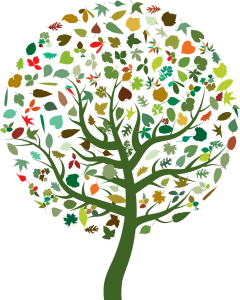 Transition N°13 Février 2026