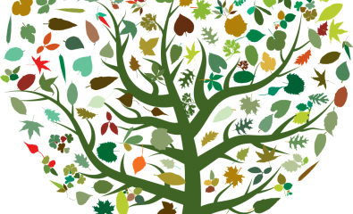 Transition N°13 Février 2026