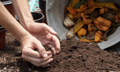Du 11 au 26 octobre, c'est la Fête du sol vivant !